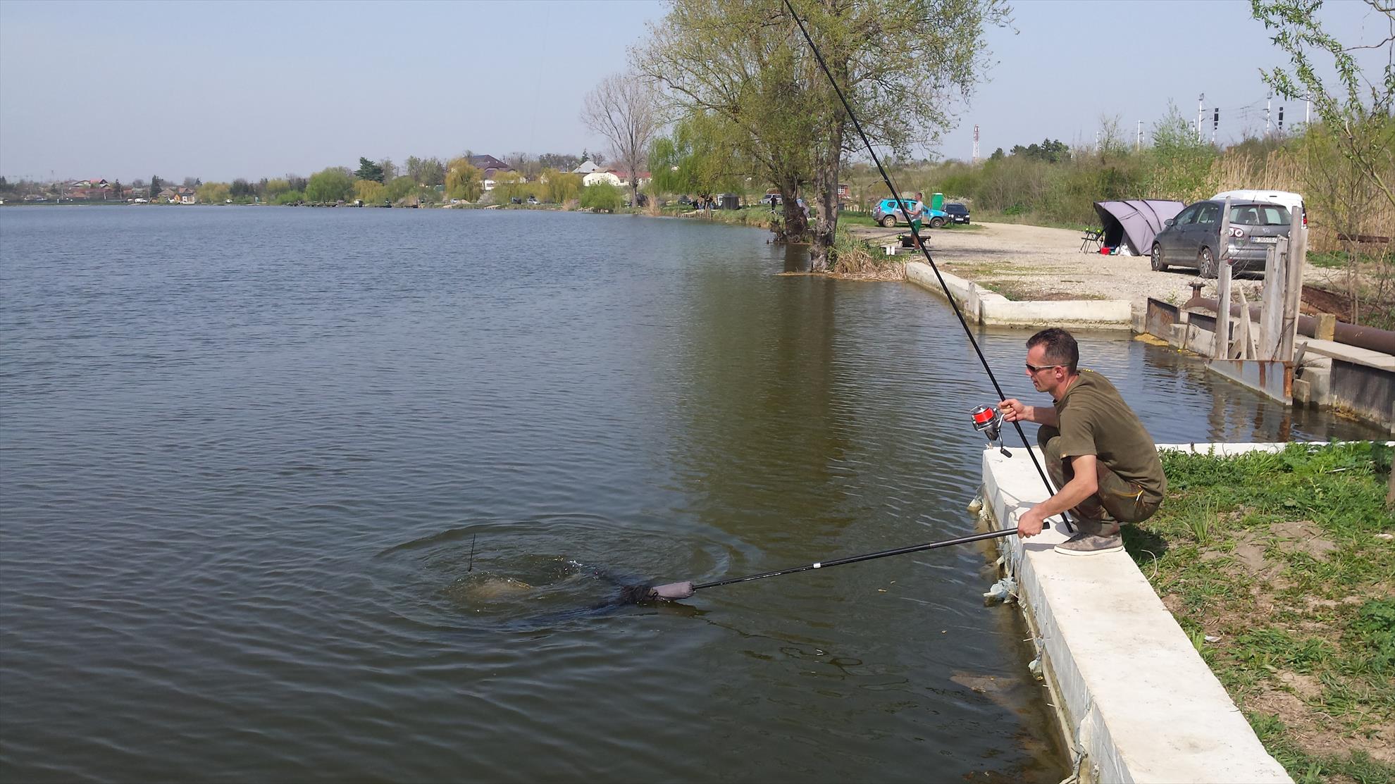 Hermes Peris 4 - 6 aprilie 2016 - 20160405151005.jpg